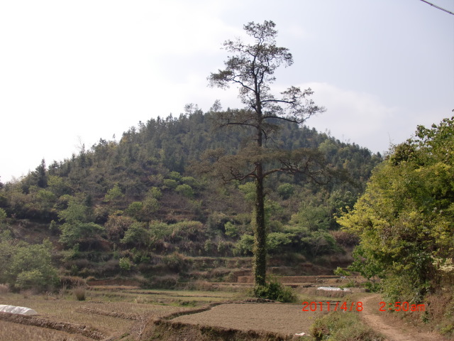 CIMG1079.JPG