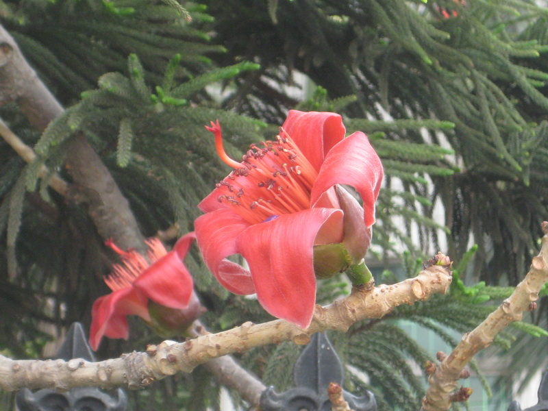 IMG_6678_С.JPG