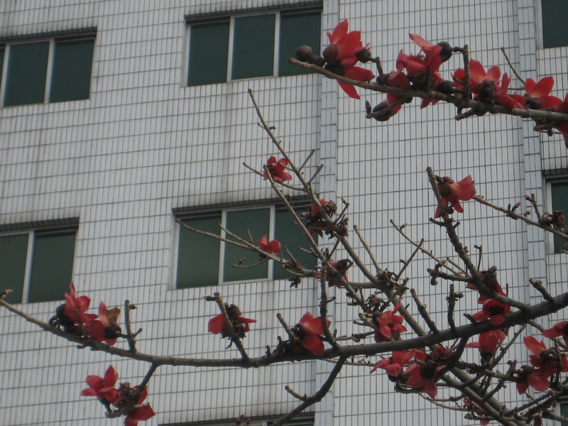 IMG_6692_С.JPG
