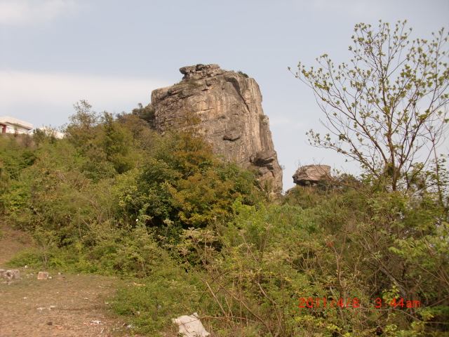 CIMG1087.JPG