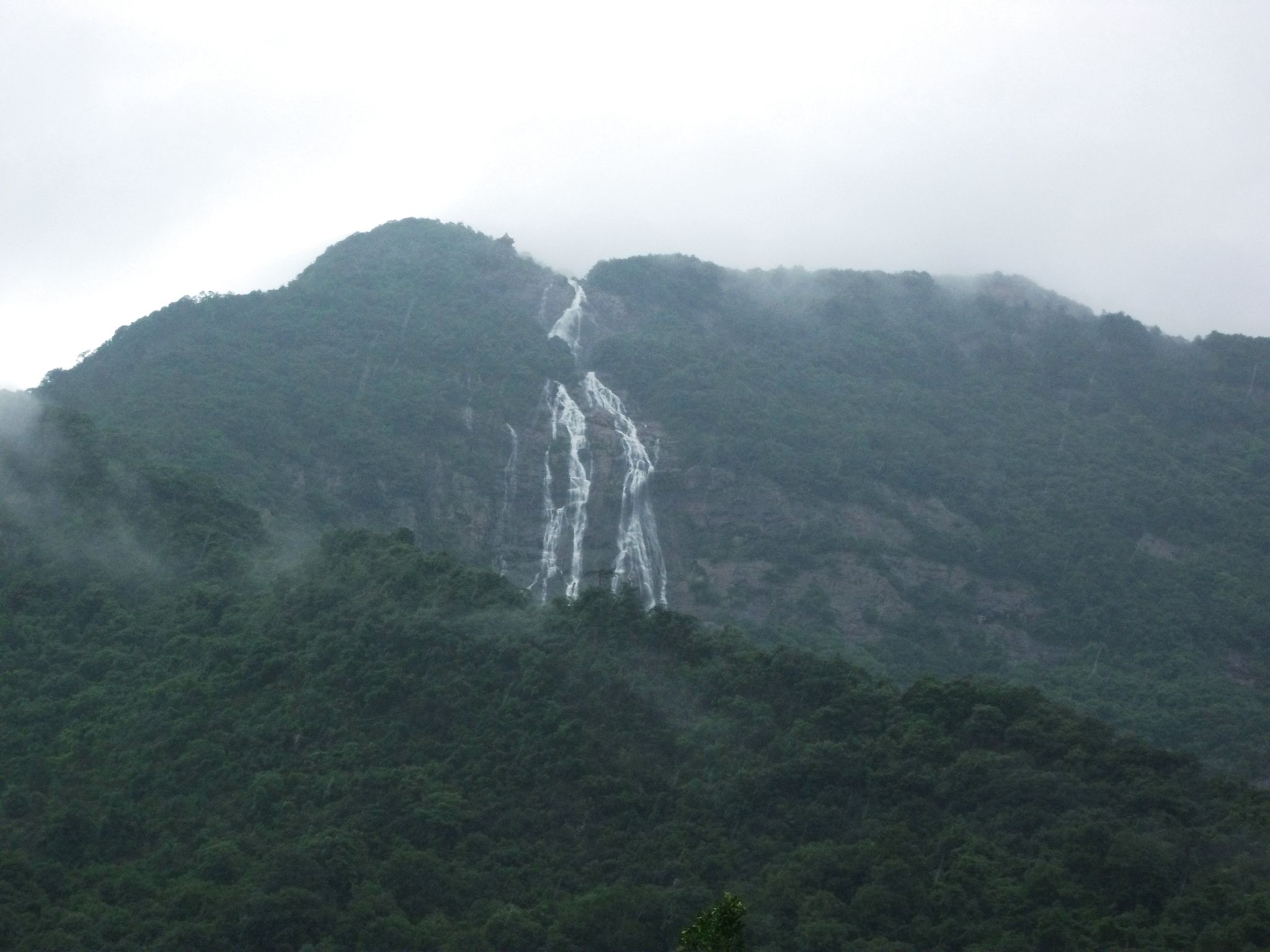 DSCF0622.jpg