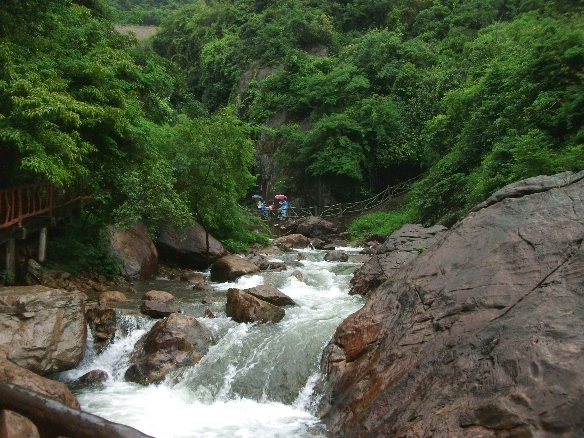 DSCF0629.jpg
