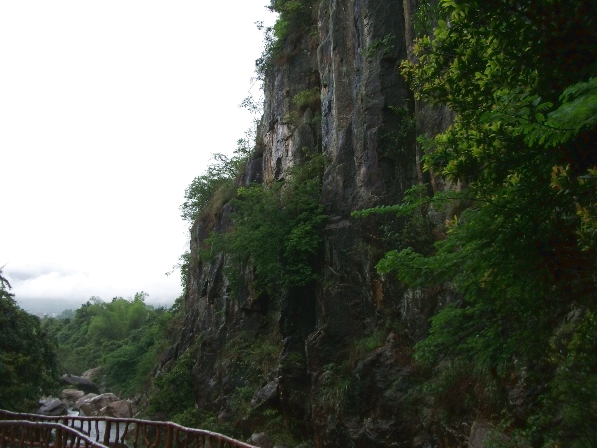 DSCF0631.jpg