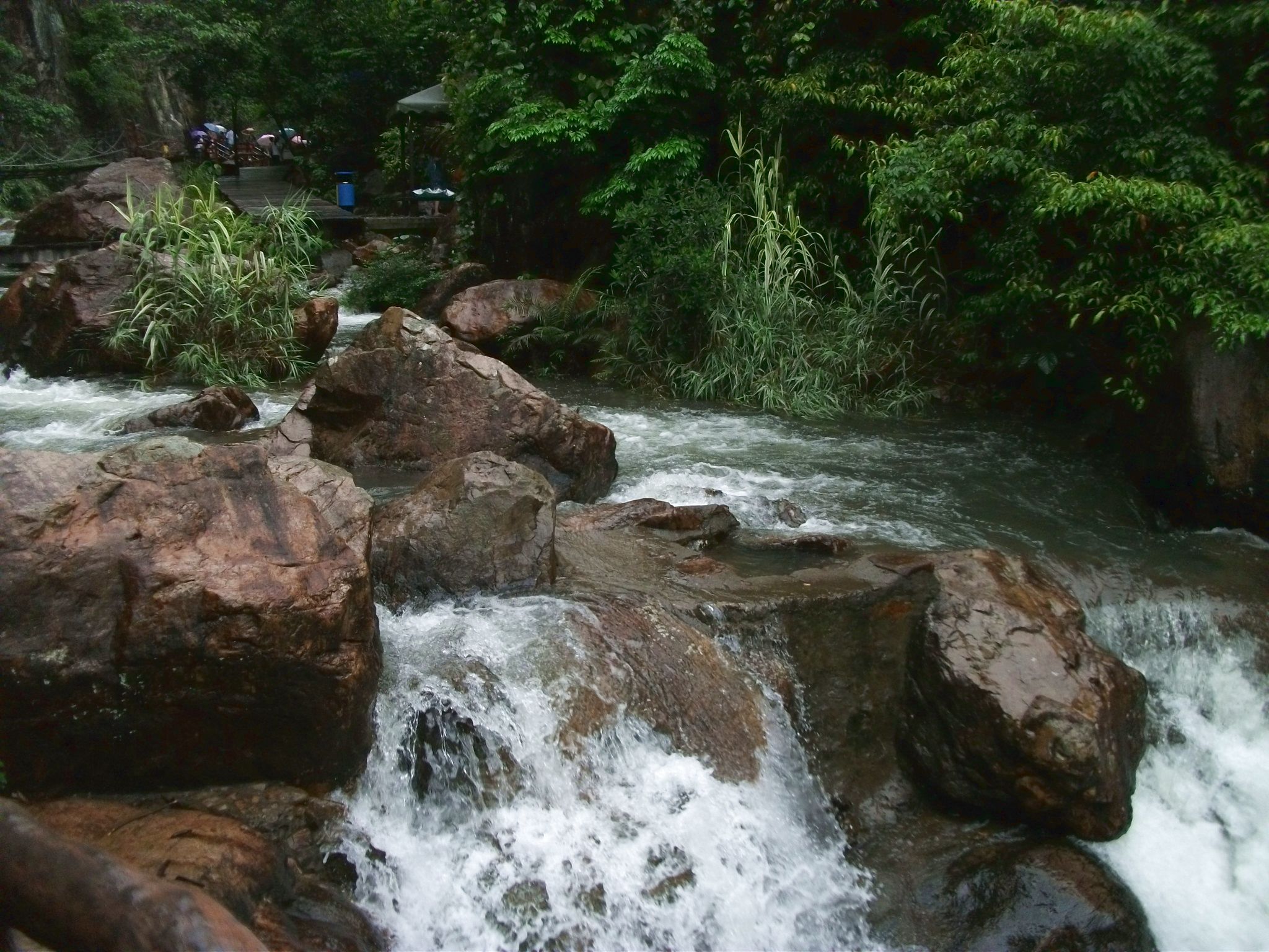 DSCF0635.jpg