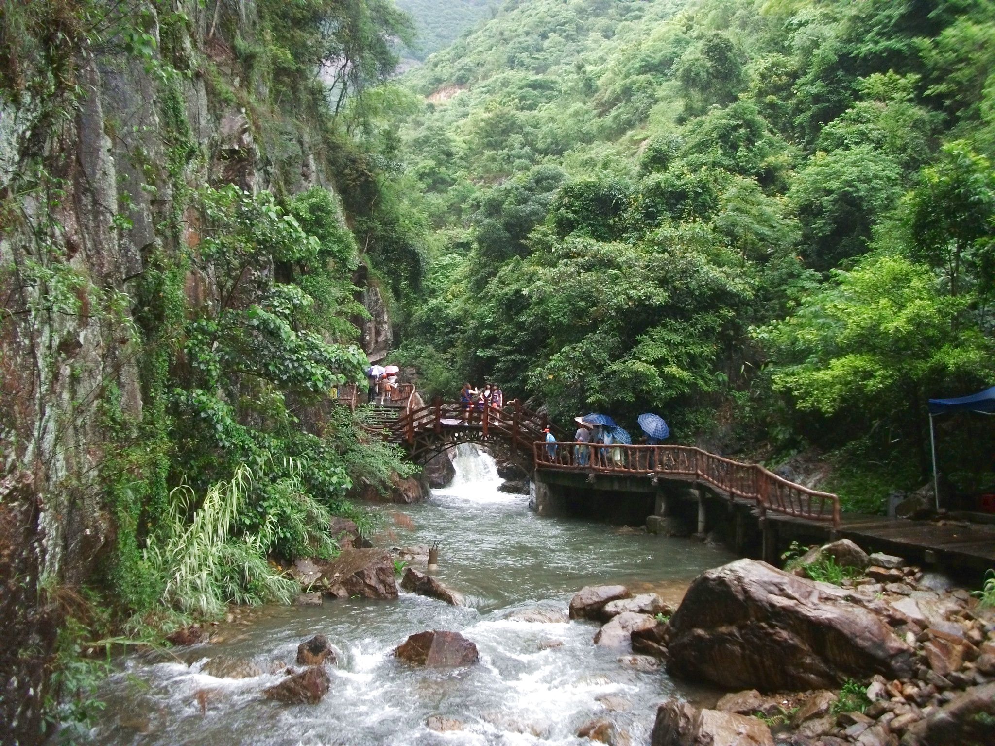 DSCF0637.jpg