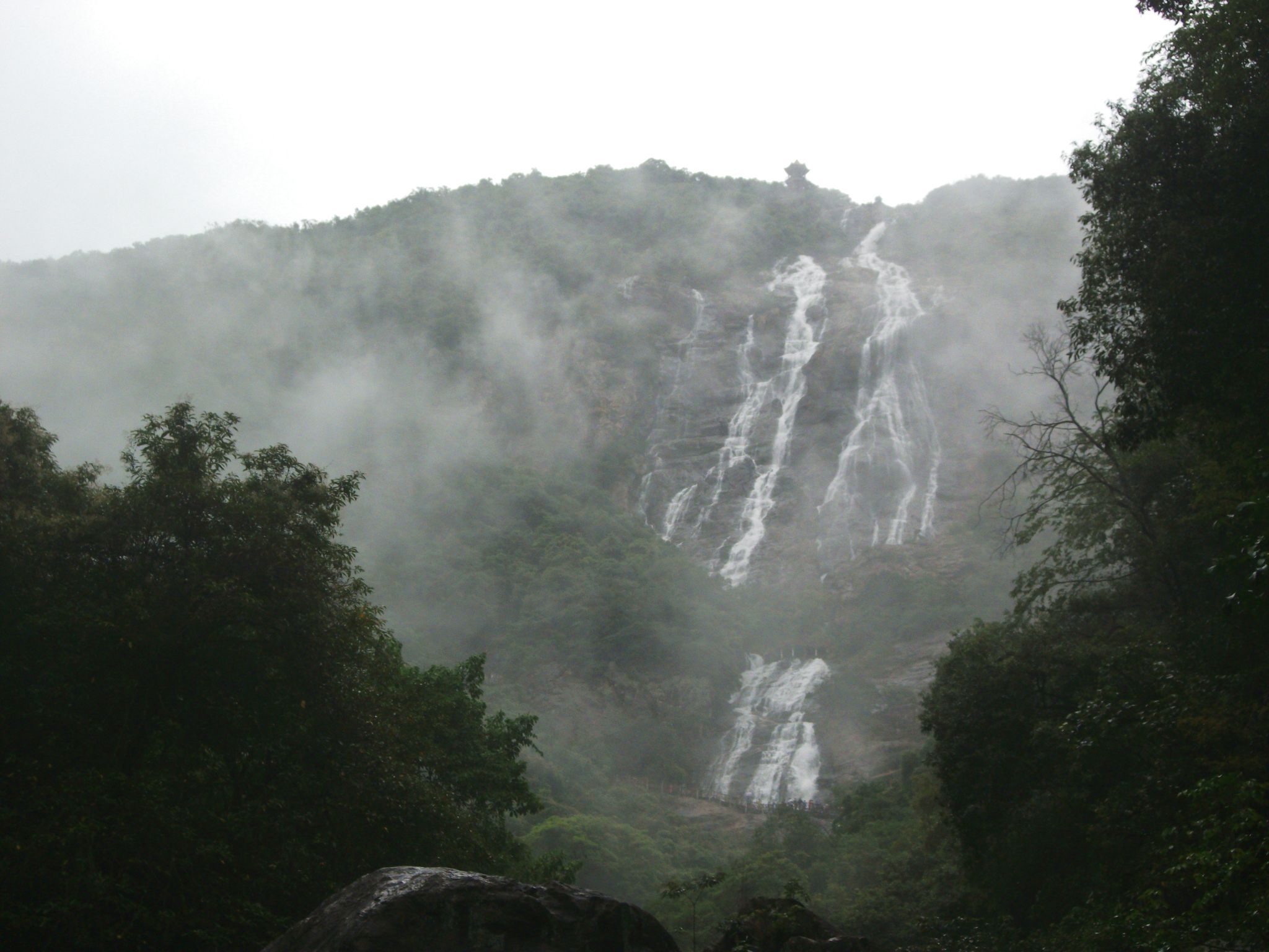 DSCF0651.jpg