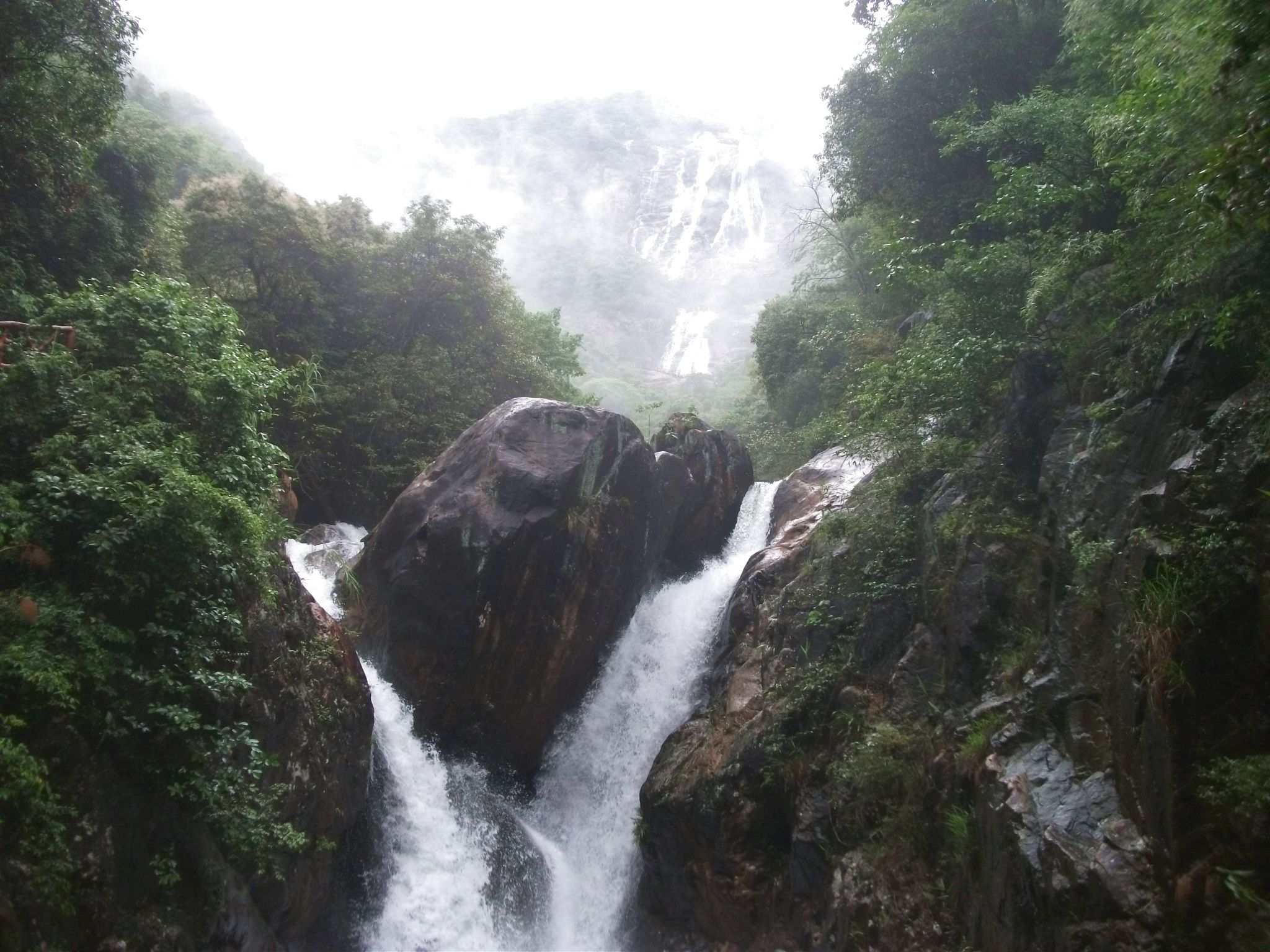 DSCF0650.jpg