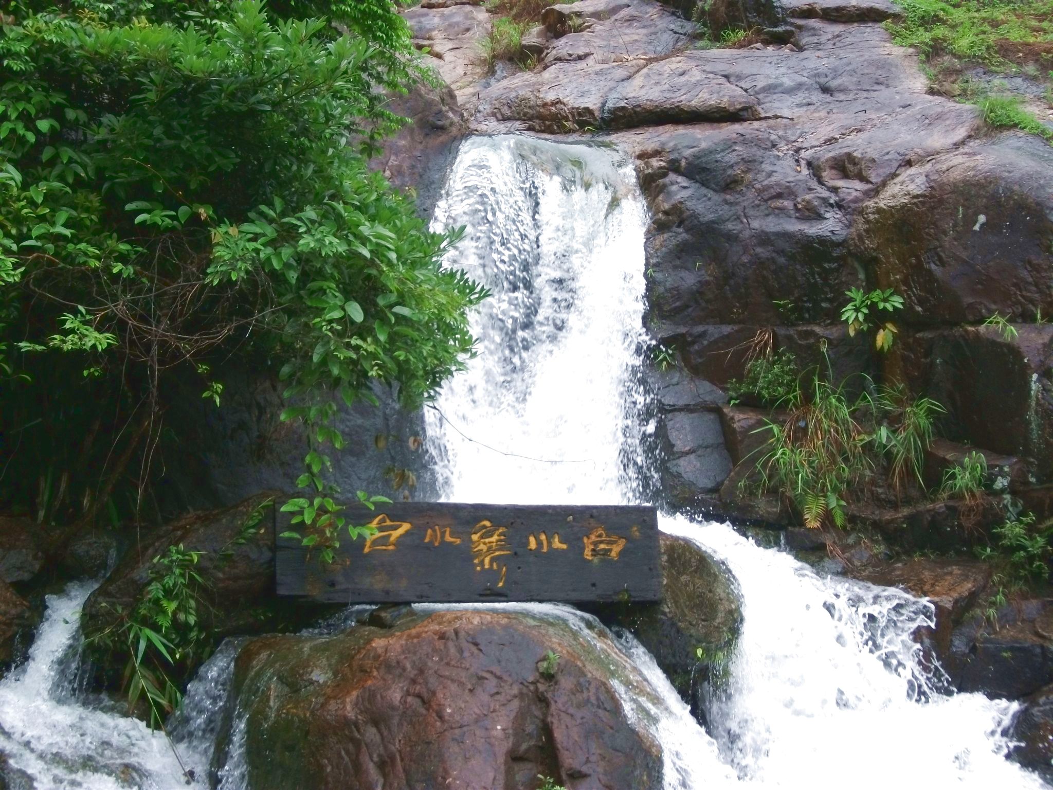 DSCF0656.jpg