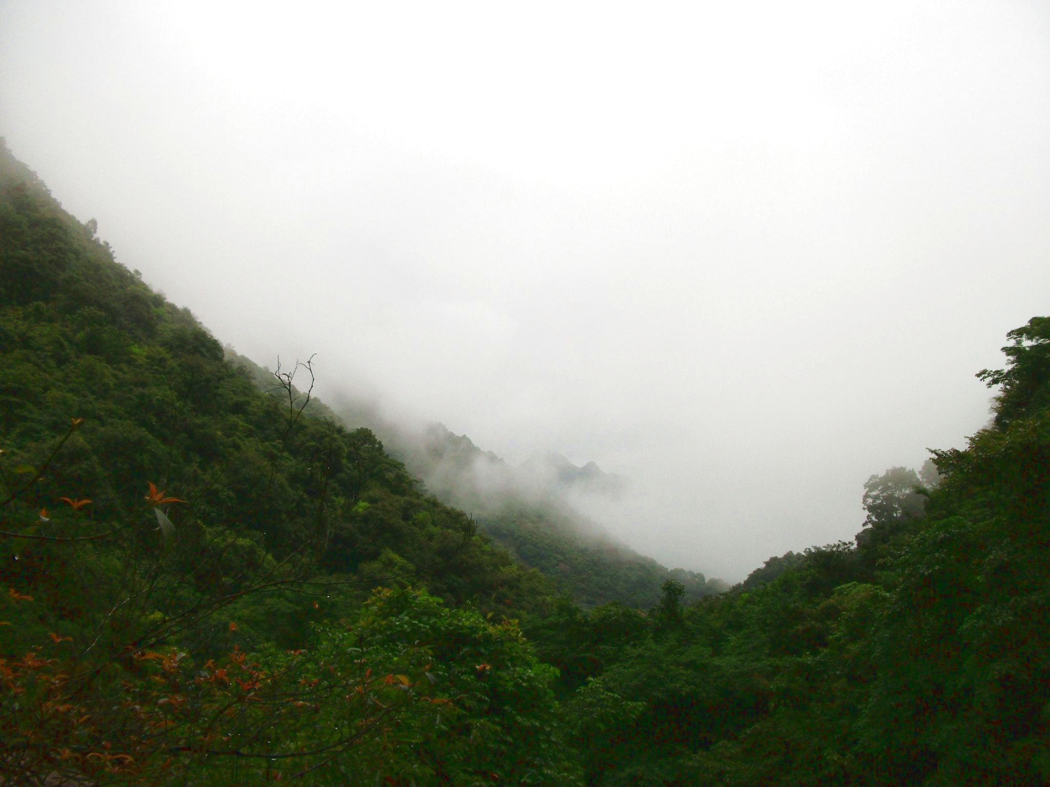 DSCF0658.jpg