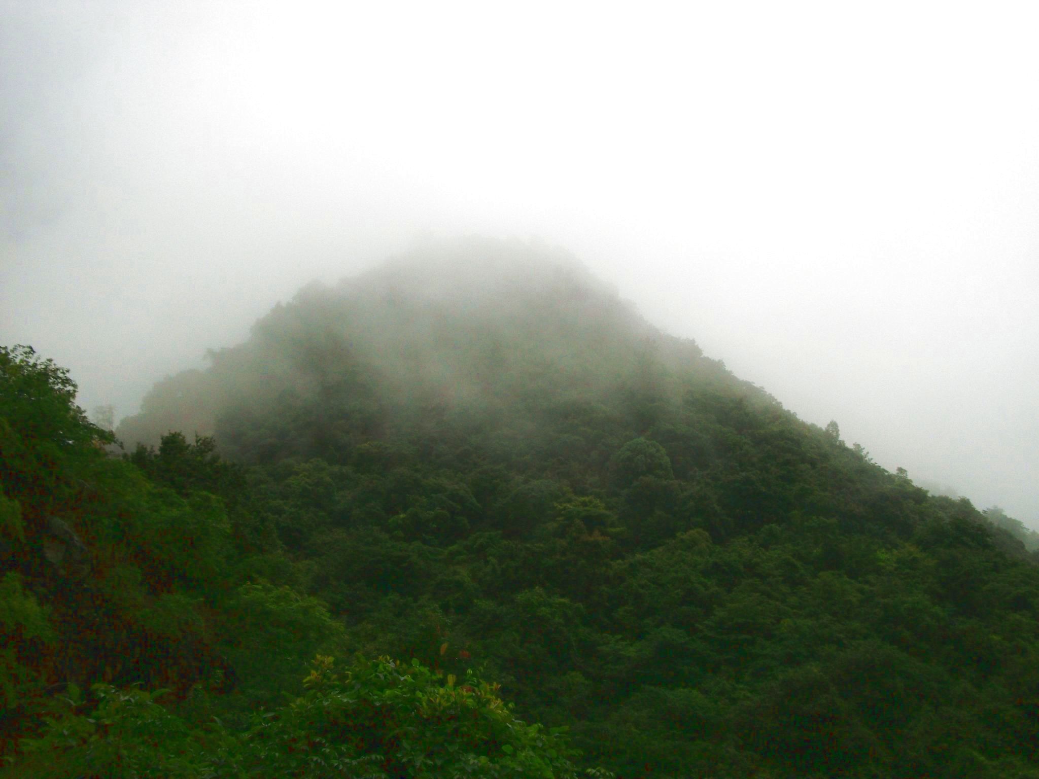 DSCF0657.jpg