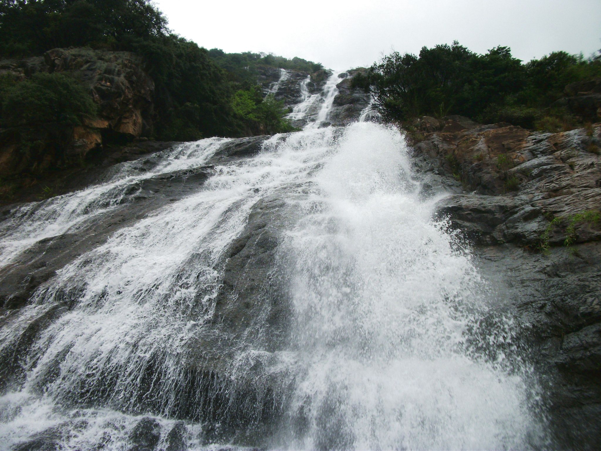 DSCF0666.jpg