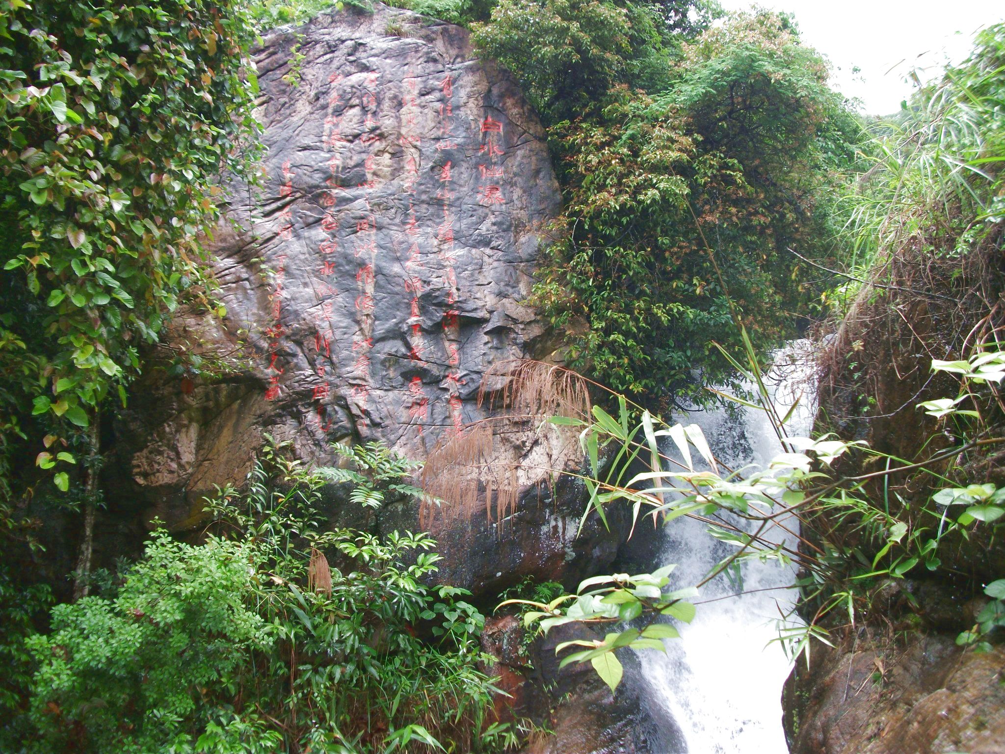 DSCF0661.jpg