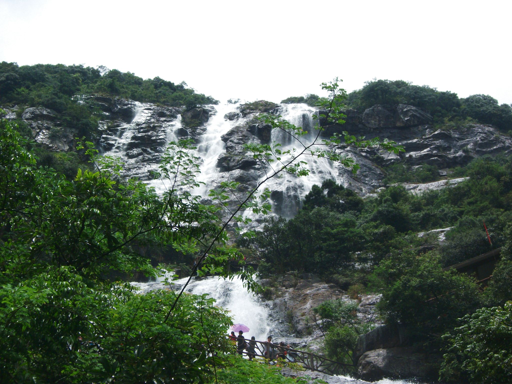 DSCF0662.jpg