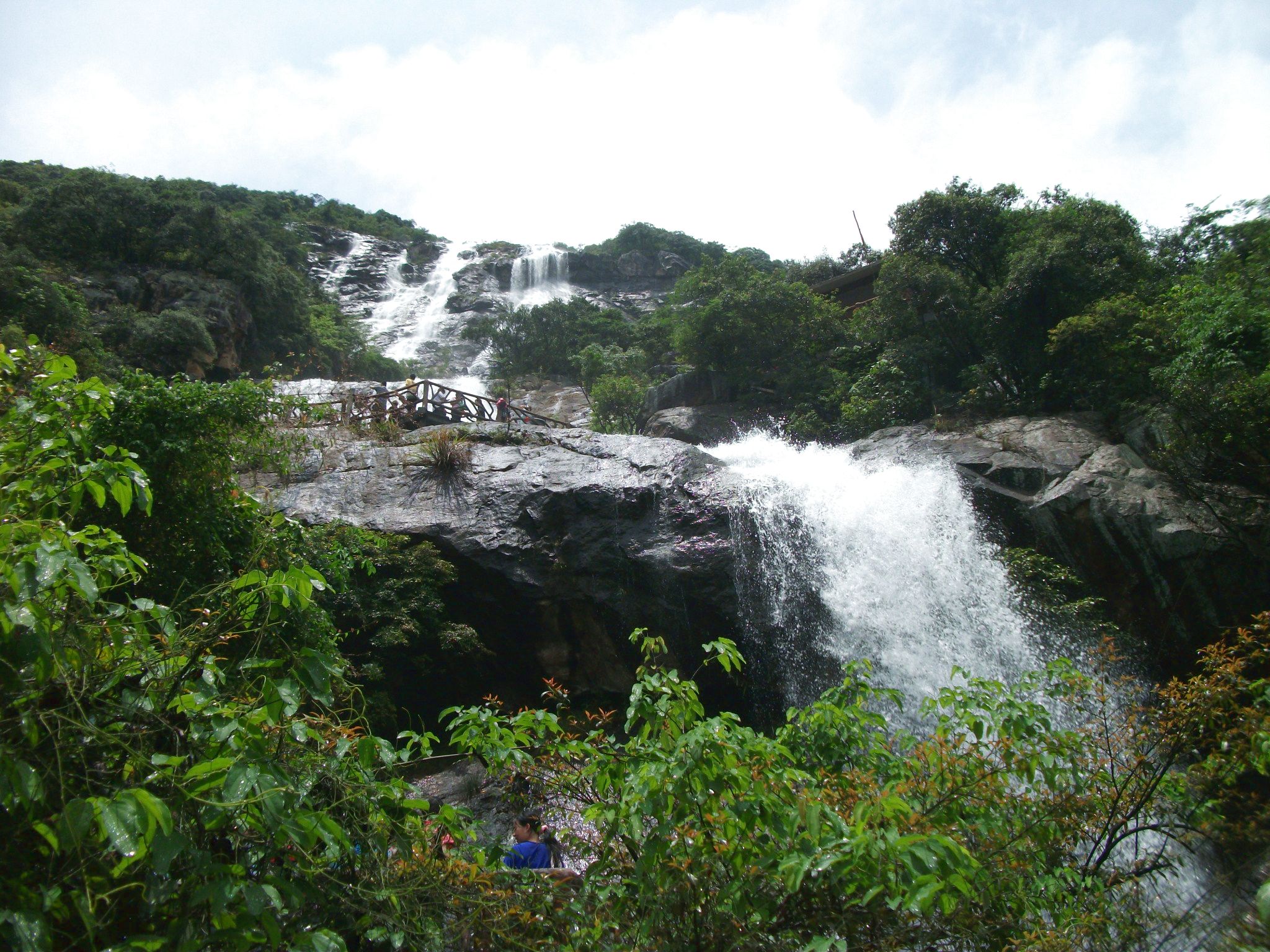DSCF0664.jpg
