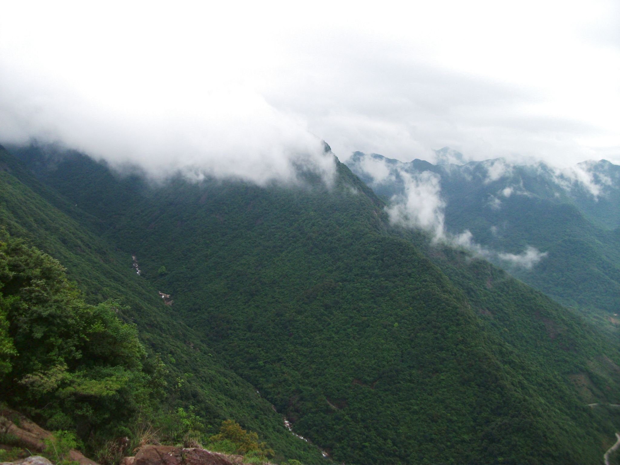 DSCF0678.jpg