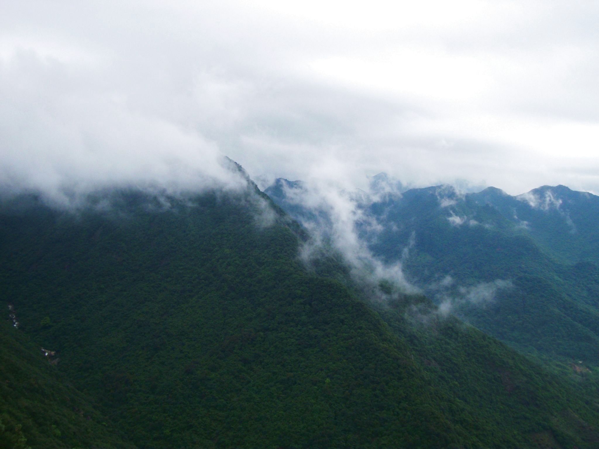 DSCF0680.jpg