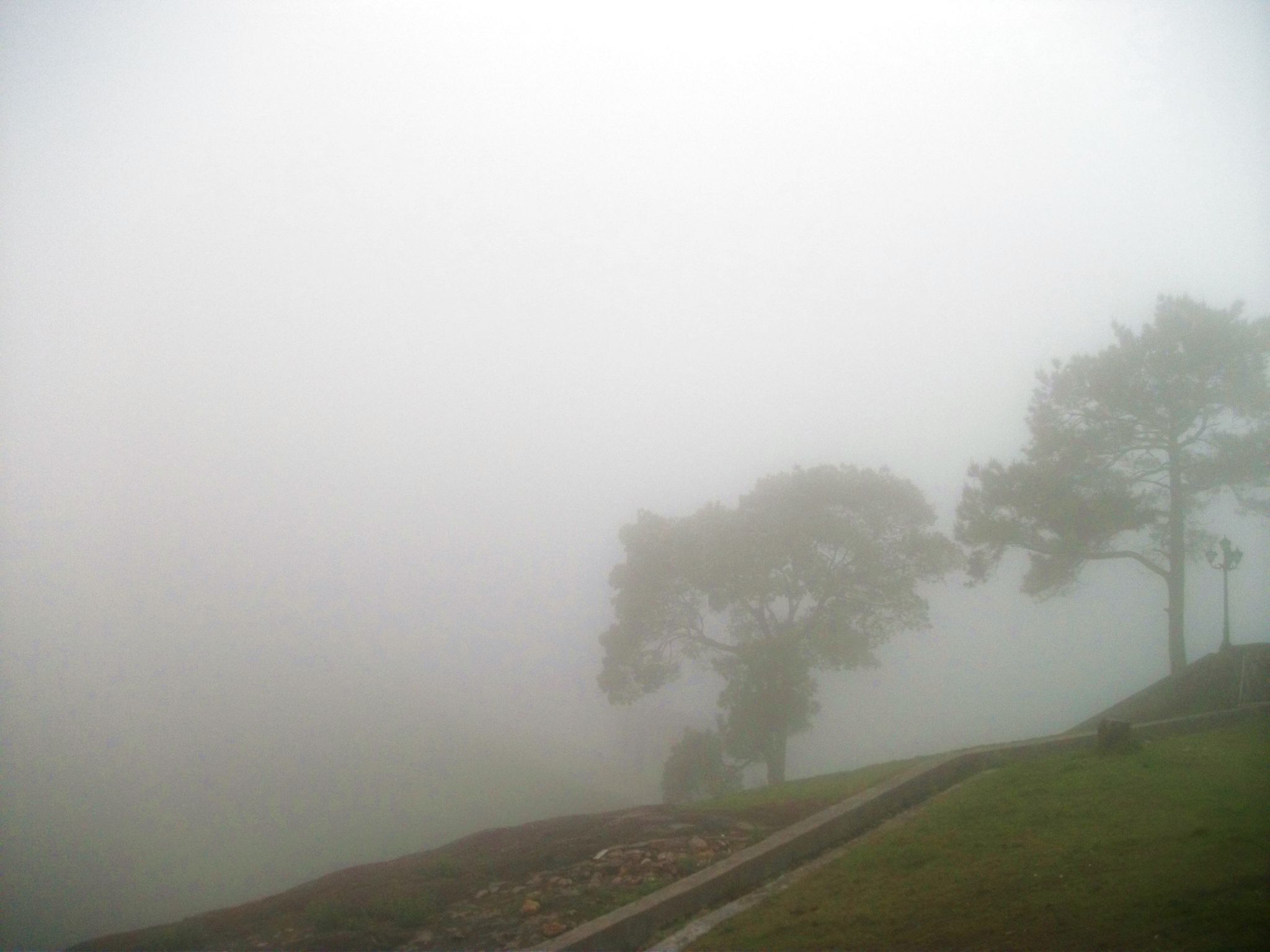 DSCF0700.jpg
