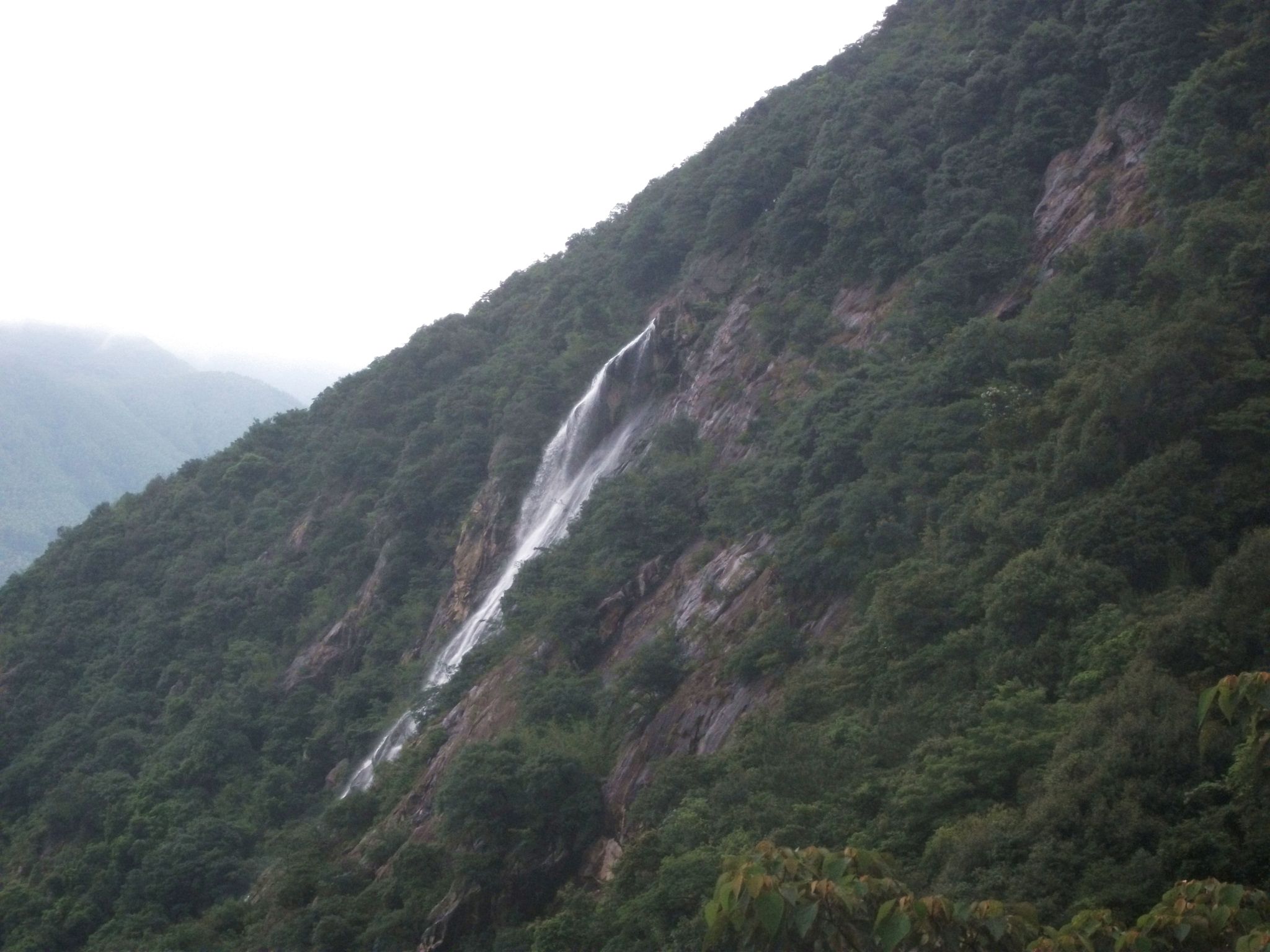DSCF0703.jpg