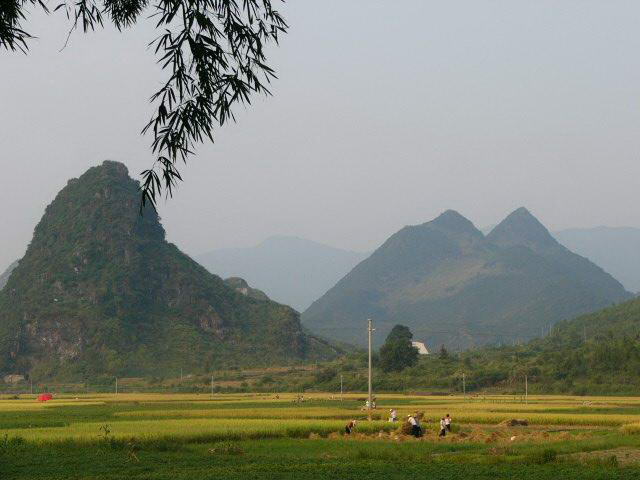 20090316175646.jpg