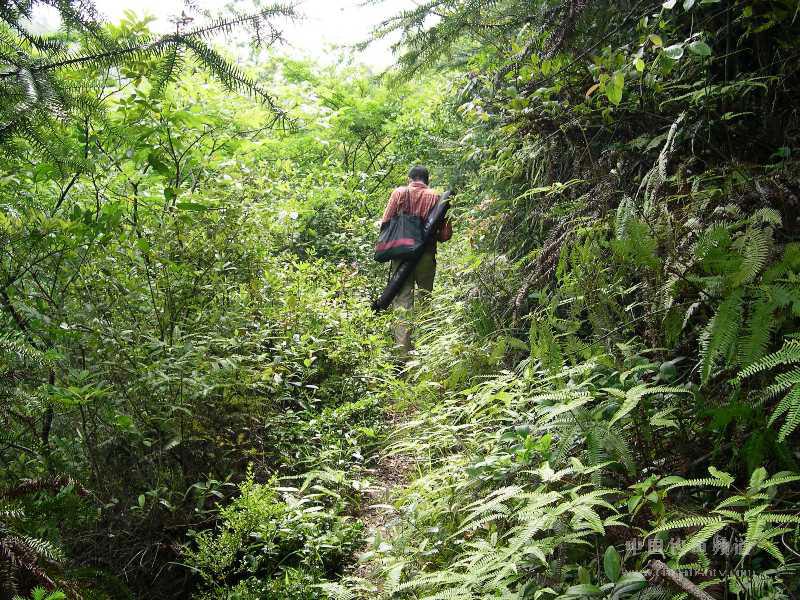 2008051610271719.jpg