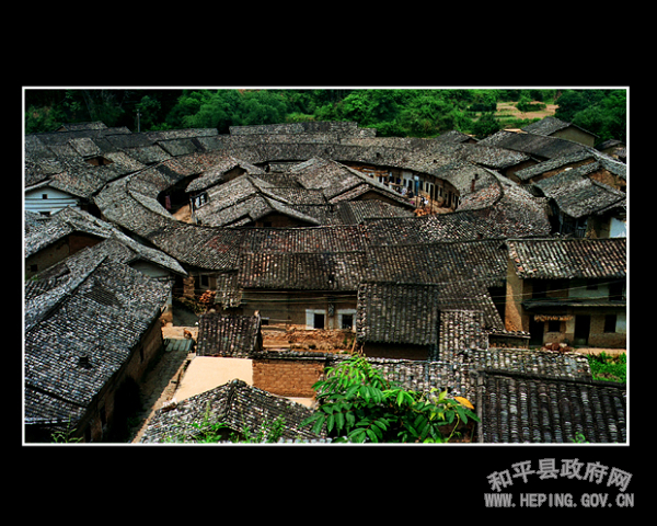 20100316022446582.jpg