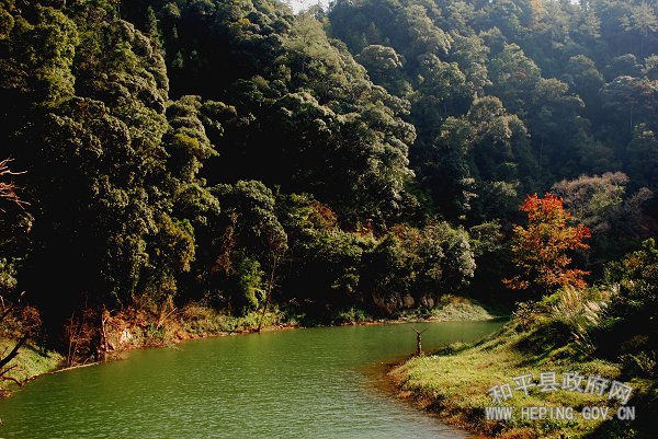 20100316022624239.jpg