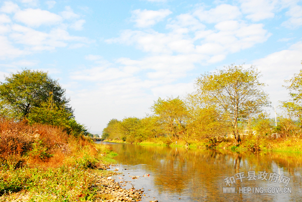 20100316022639554.jpg