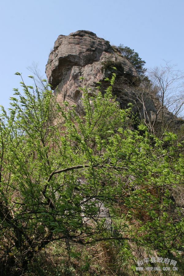 20100317090634588.jpg