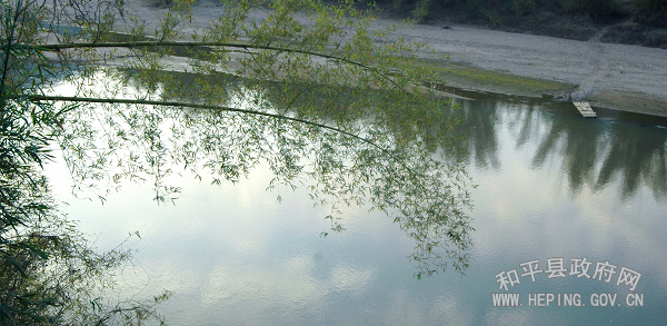 20100316022922460.jpg