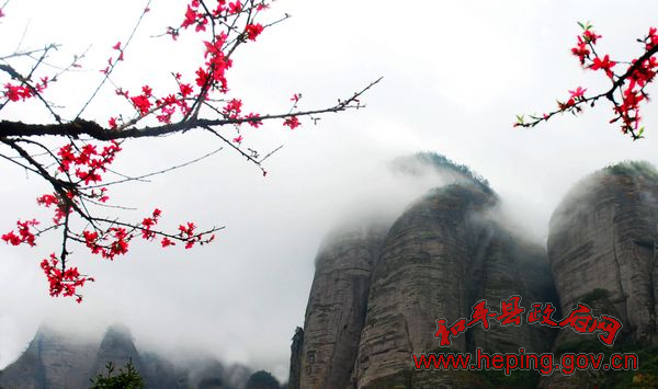 20100316081603351.jpg