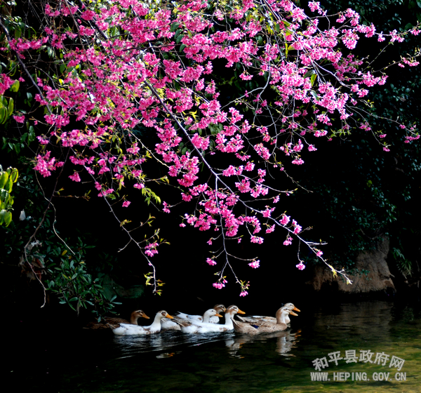 20100319083115169.jpg