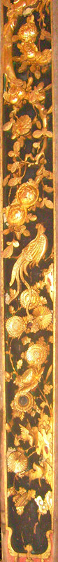 S6300093.jpg