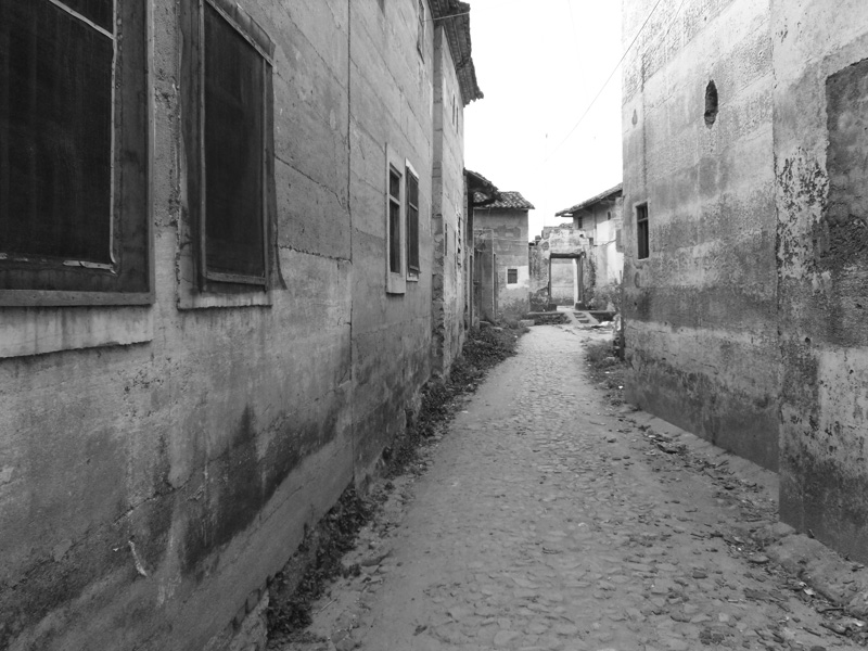 030.jpg