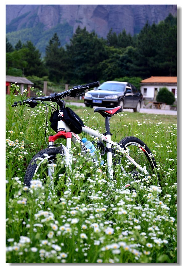 09.jpg