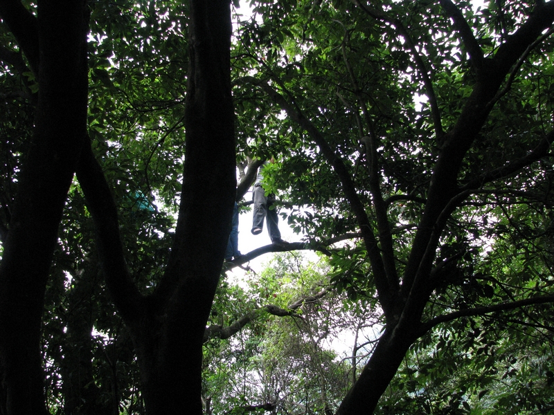 Ƭ 028.jpg