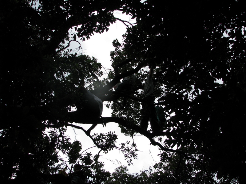 Ƭ 033.jpg