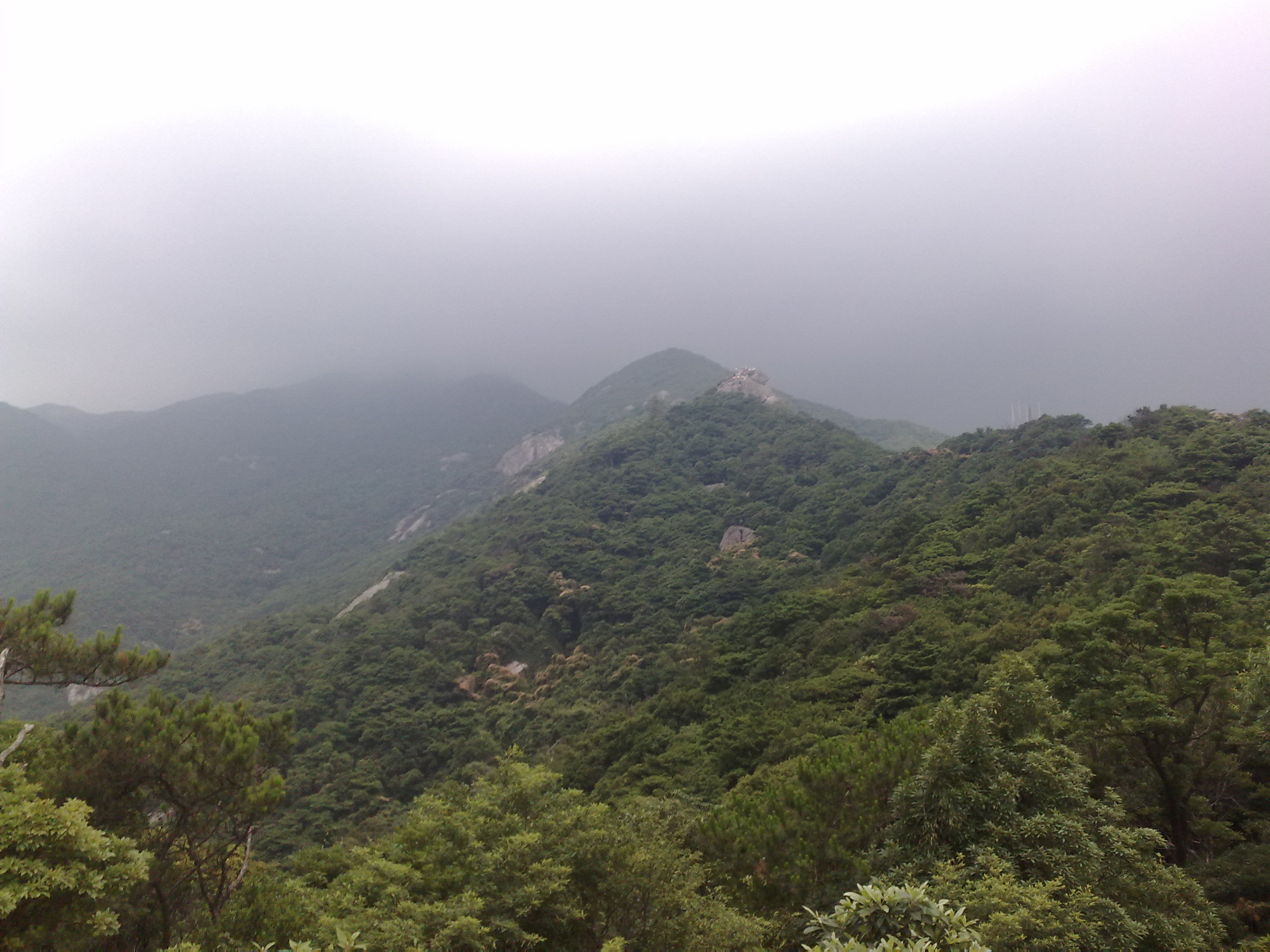 20110605096.jpg