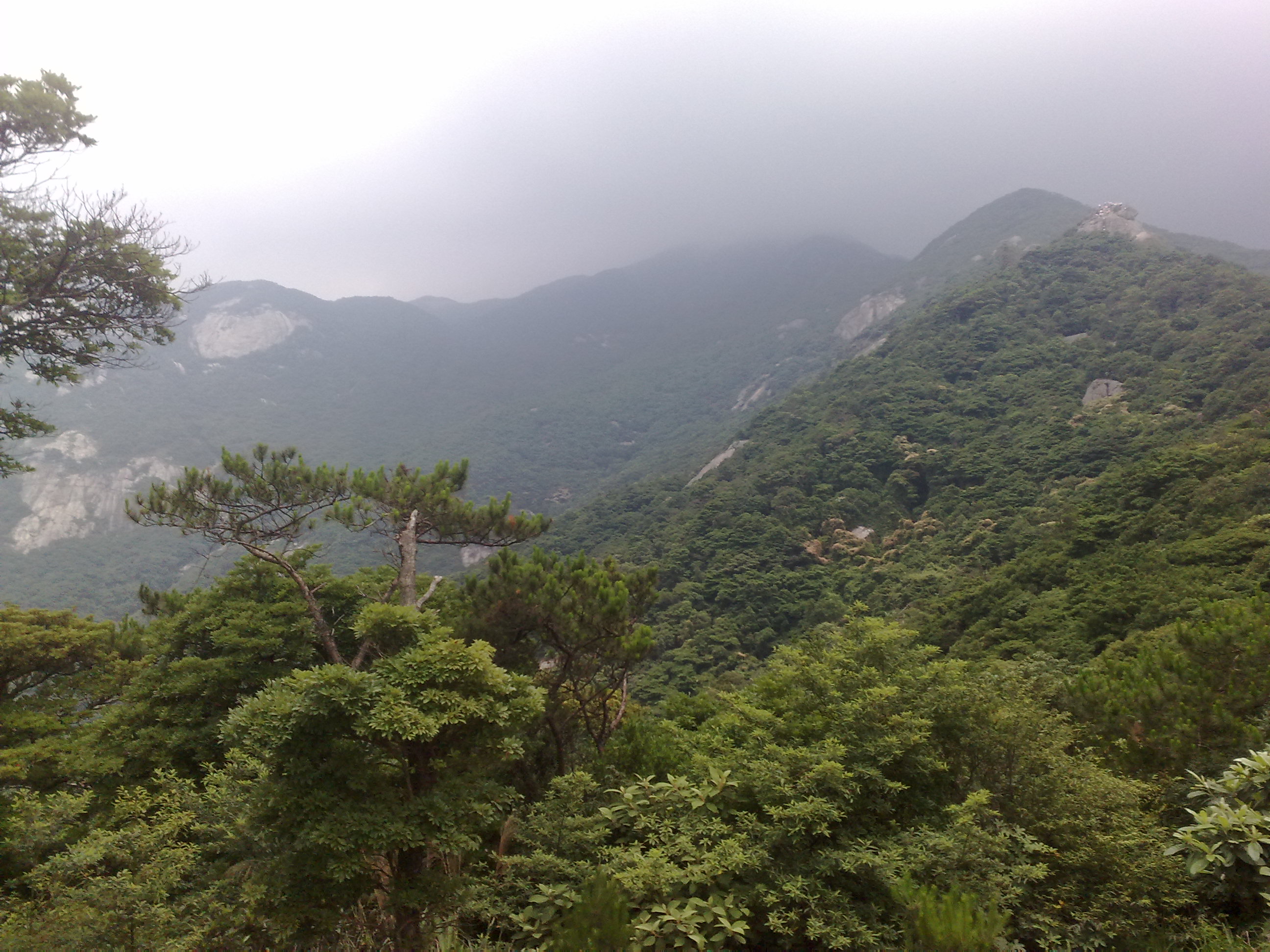 20110605097.jpg