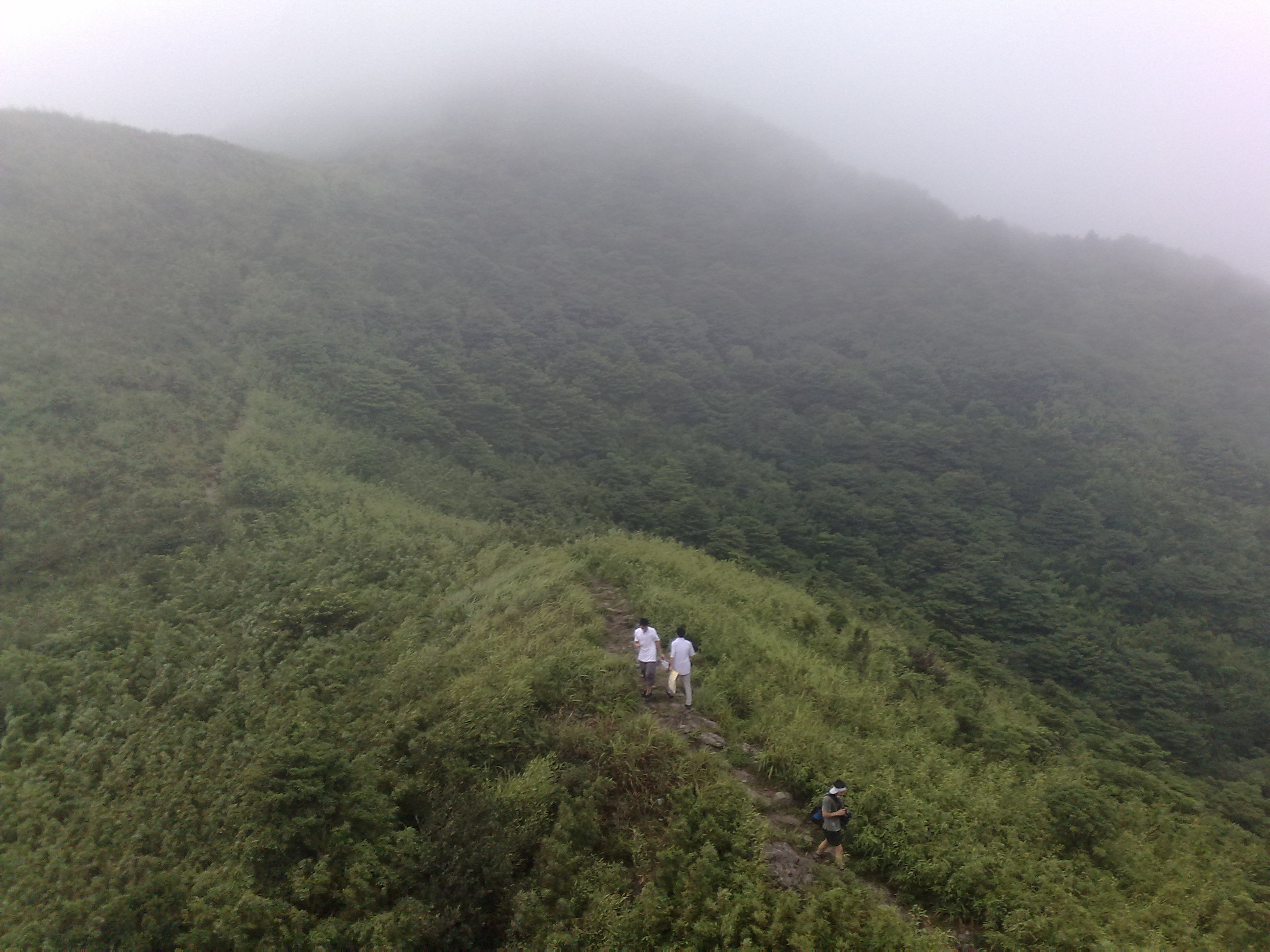 20110605107.jpg