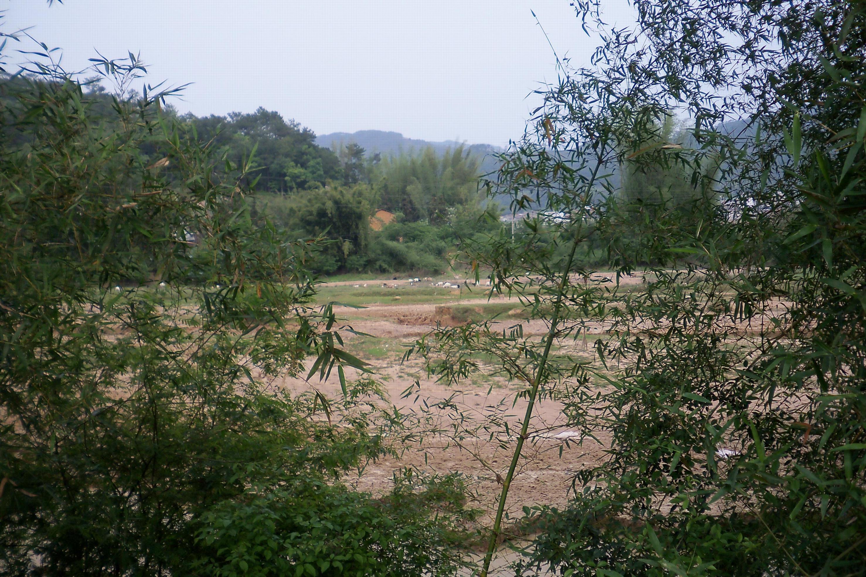 100_0299.JPG