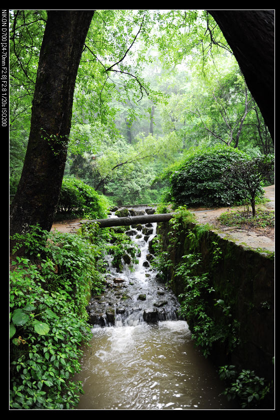 nEO_IMG_DSC_0791.jpg
