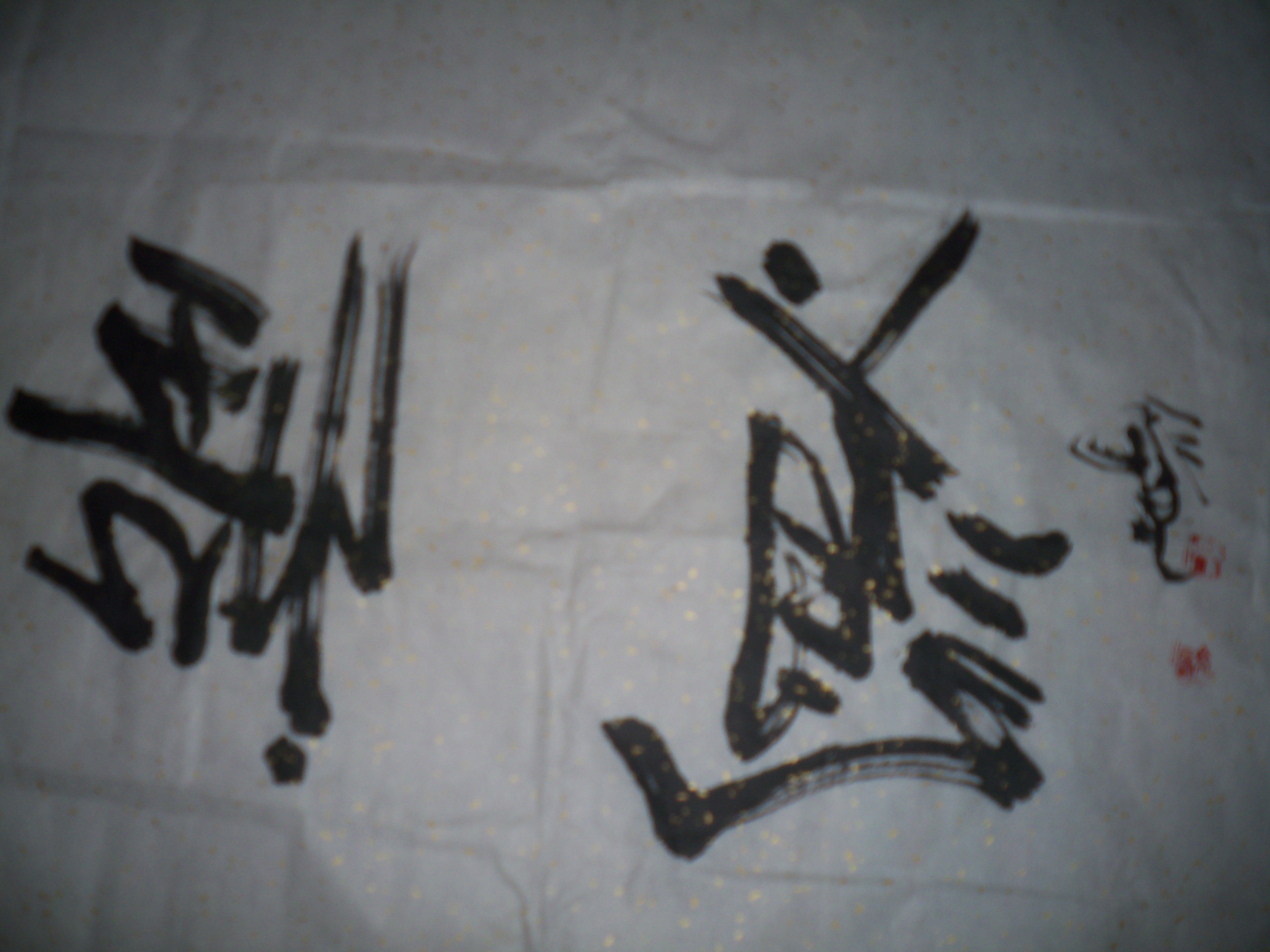 100_4139.JPG
