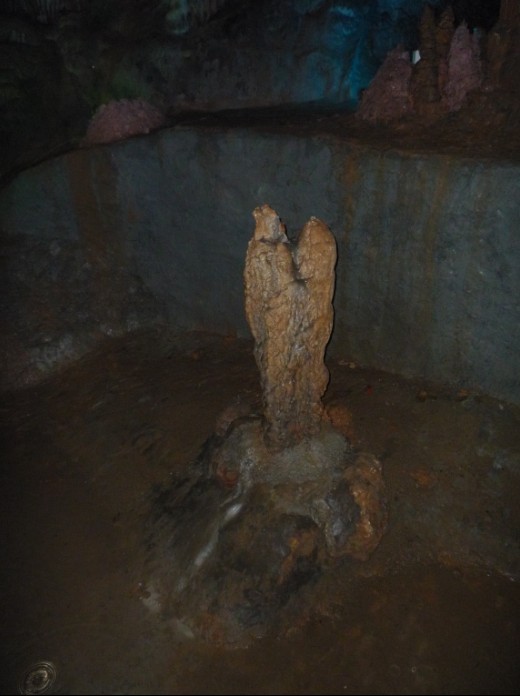 58.jpg