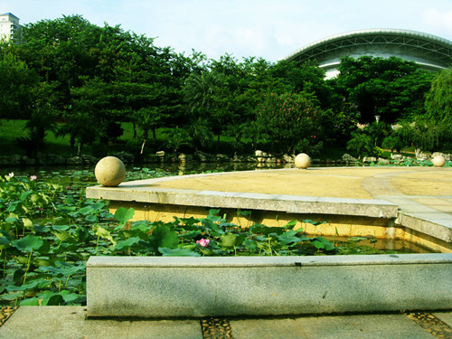 SDC17483__.jpg