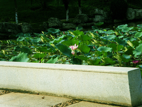 SDC17482__.jpg