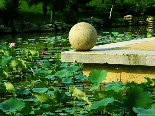SDC17480__.jpg