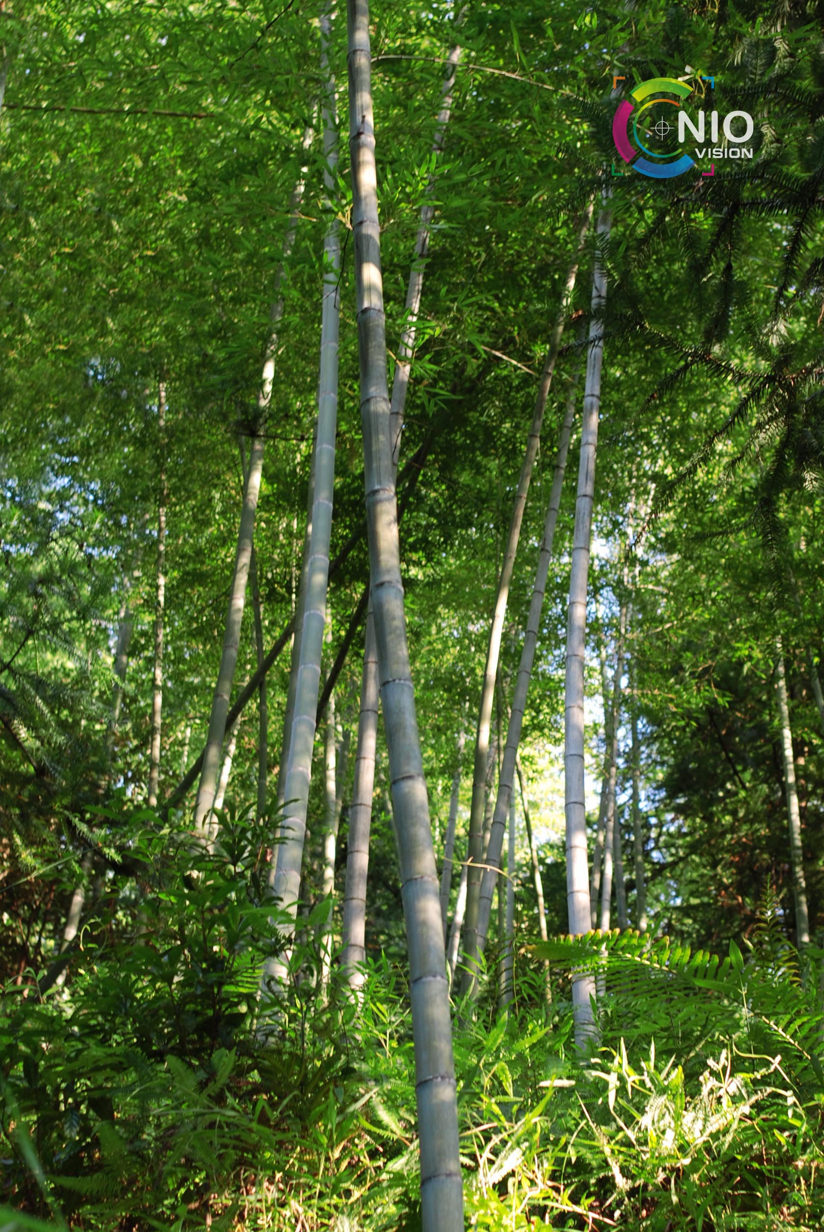 DSC_3674.JPG