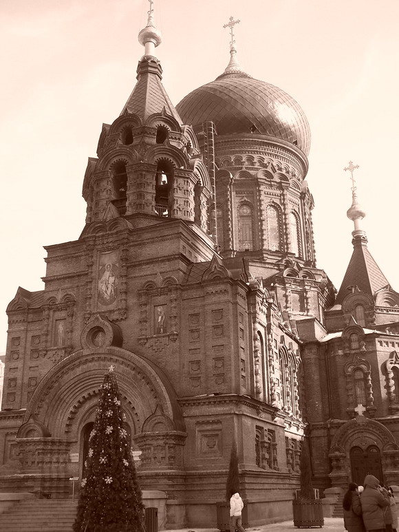 103_6049_С.JPG