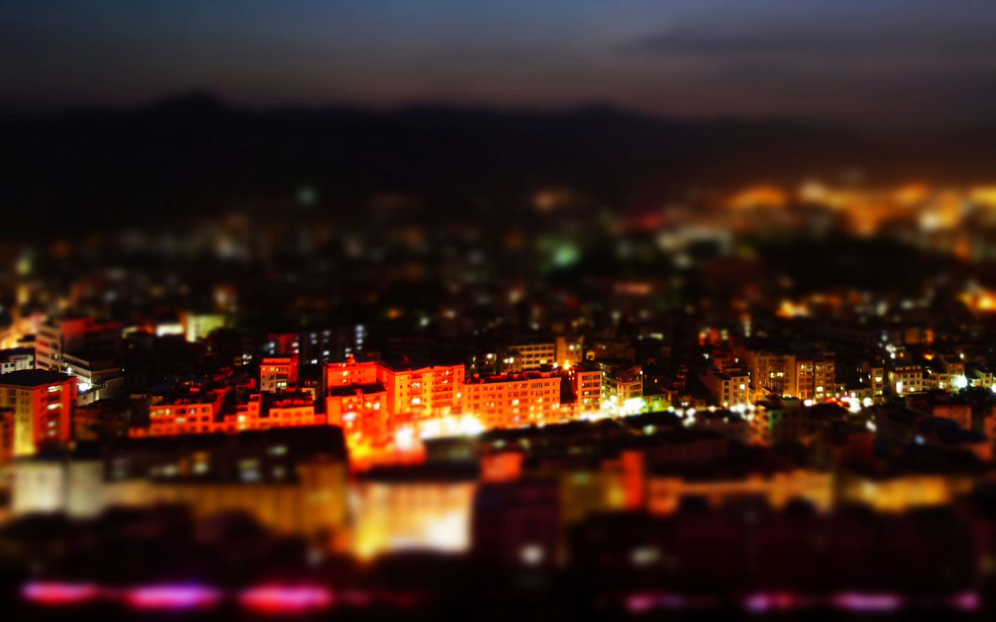 P1010999.jpg