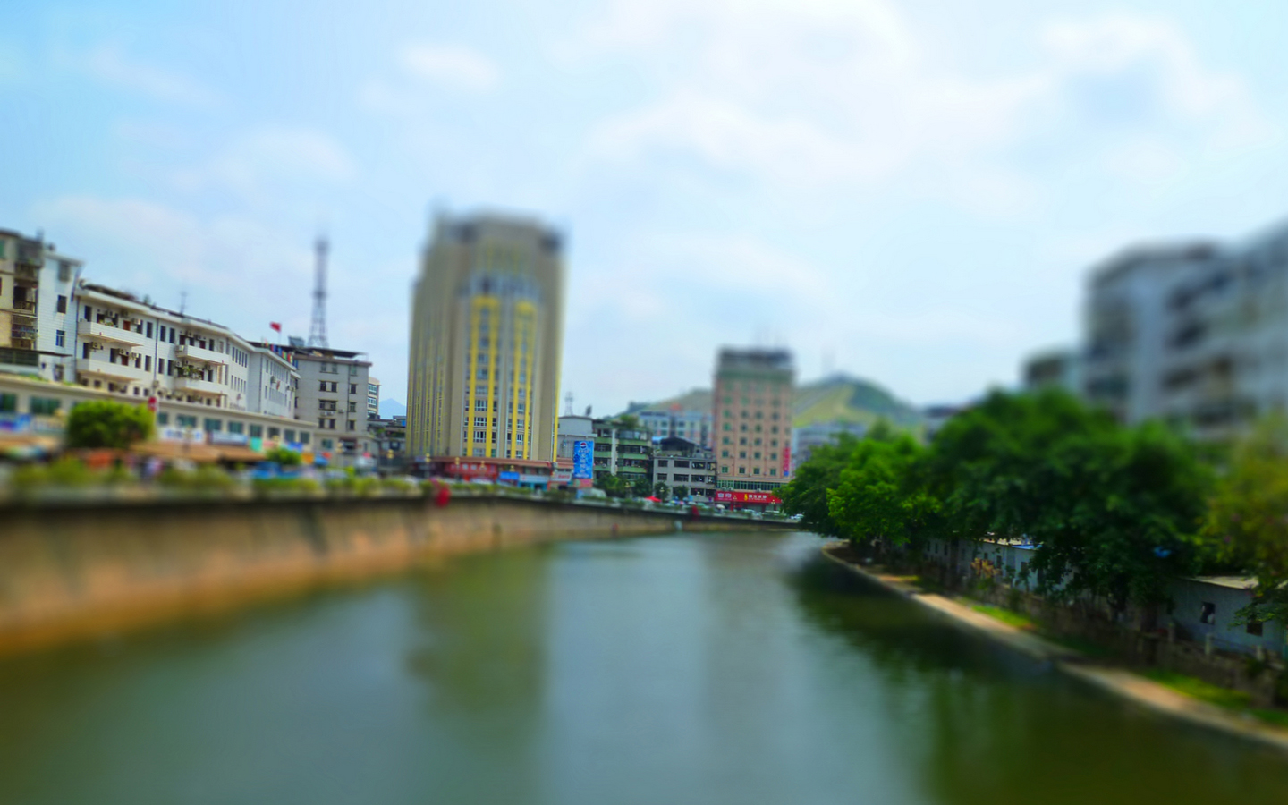 P1010163.jpg